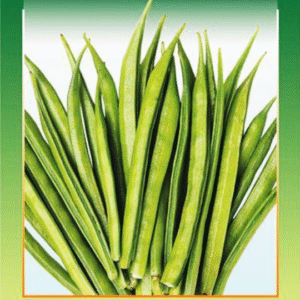 guwar (cluster beans) shikhar