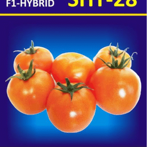 f1 hybrid sht 28