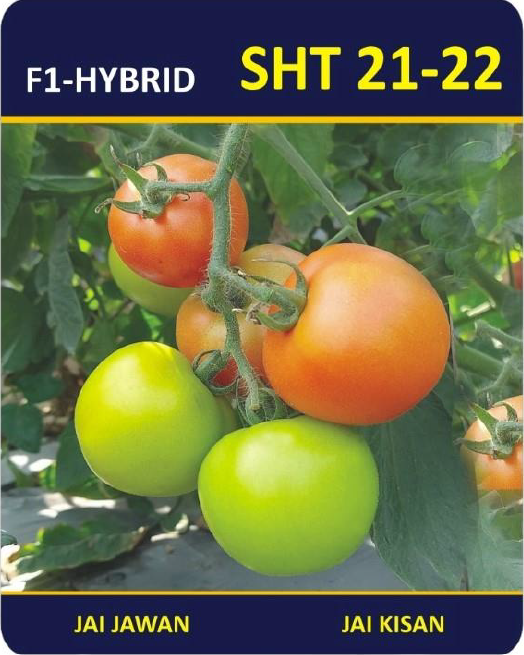 f1 hybrid sht 28