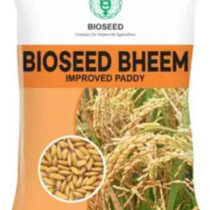 bheem