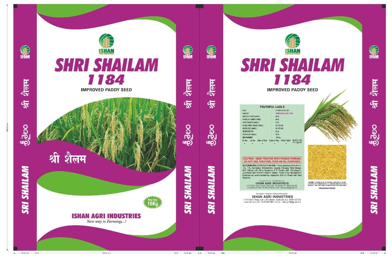 auto draft